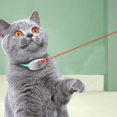 Colar laser - Brinquedo para gatos